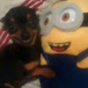 Meet your Posher, Jose